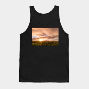 Panoramic view of a flowering  yellow daisy flowers Tank Top